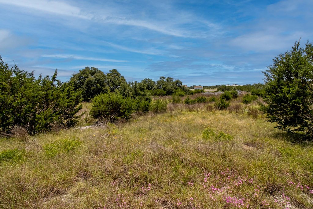 0 Quail Run Road Mountain Home, TX 78058 - Photo 4 of 8