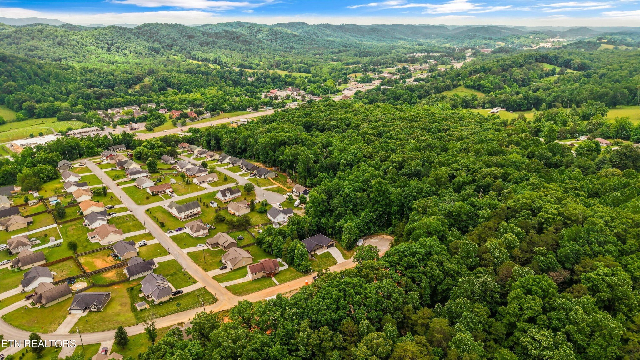 375 Signet Lane Maynardville, TN 37807 - Photo 5 of 22