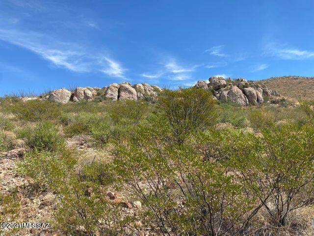 36 Acres Douglas Az 85607 Douglas, AZ 85607 - Photo 9 of 29