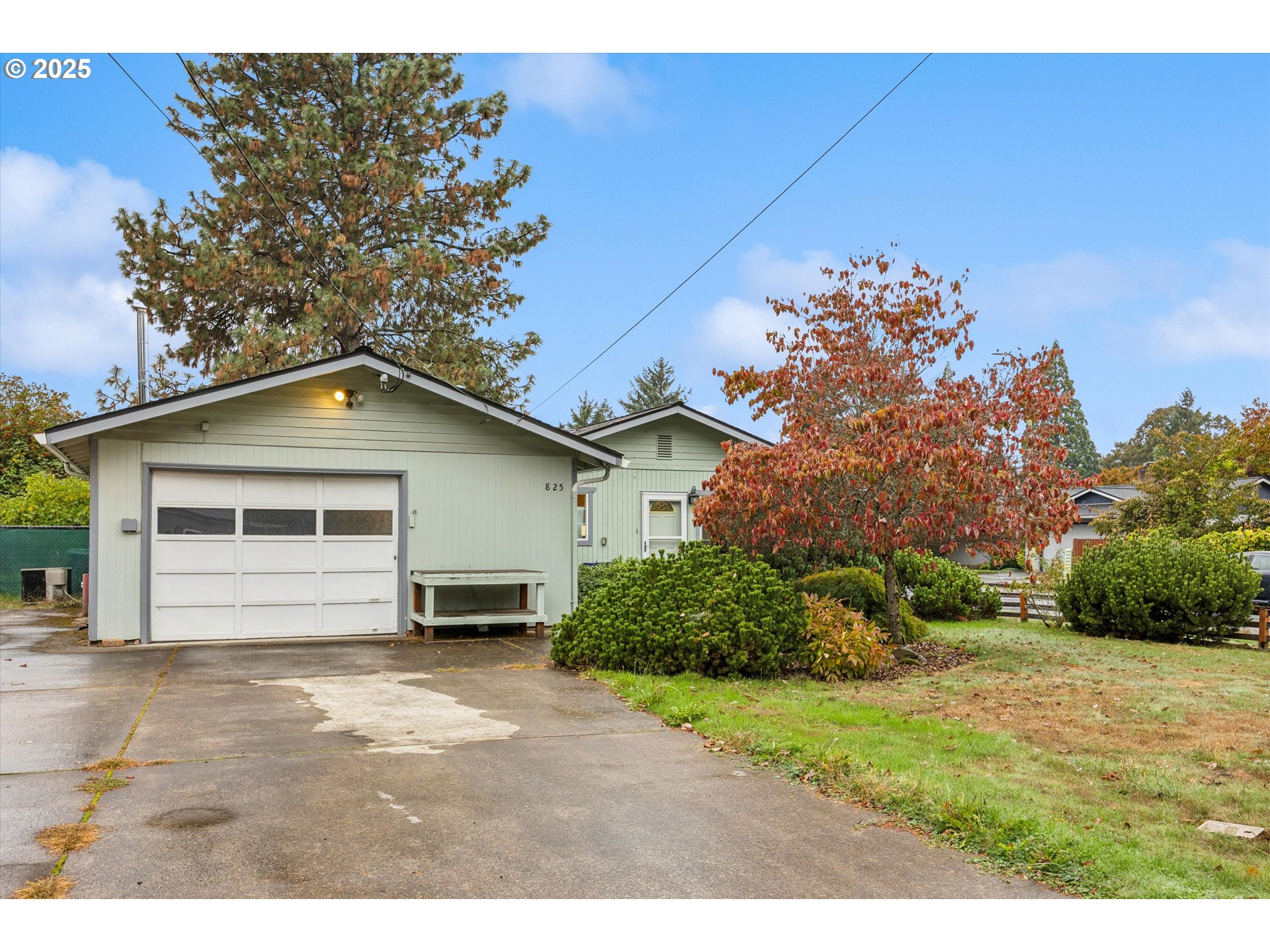 a house view with a backyard space
