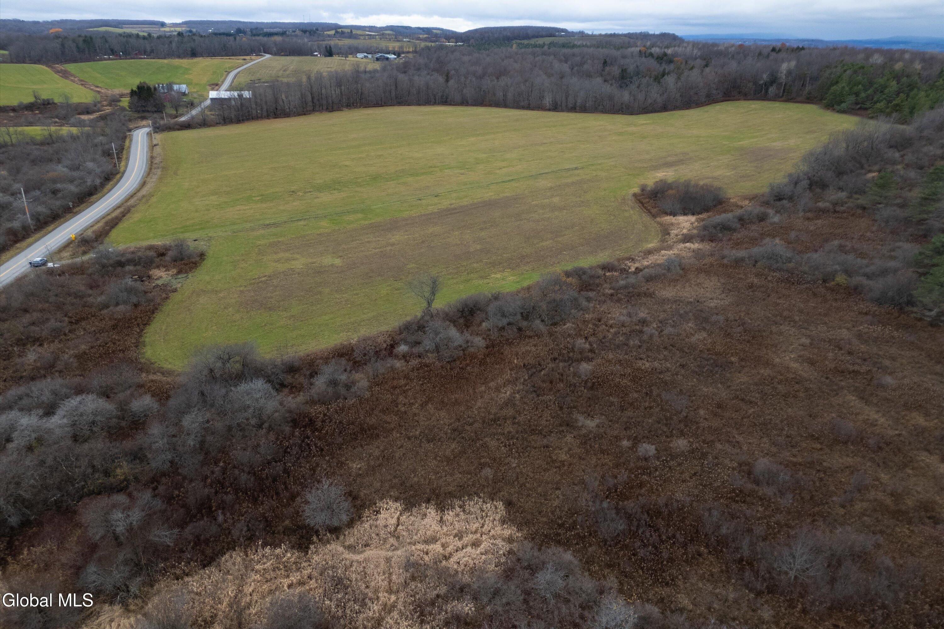 L27 Travis Road Fort Plain, NY 13339 - Photo 11 of 12 177.70 acre - Travis Rd lot