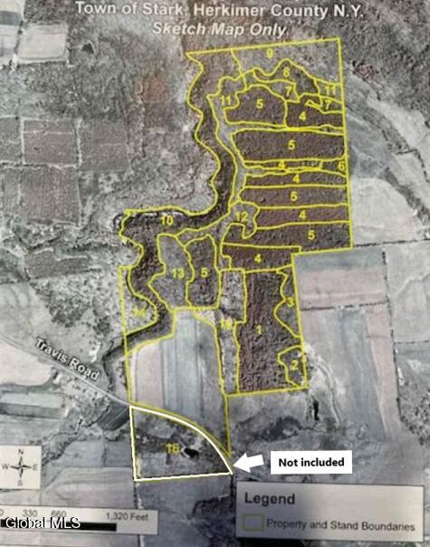 L27 Travis Road Fort Plain, NY 13339 - Photo 3 of 12 177.70 acre - Travis Rd lot