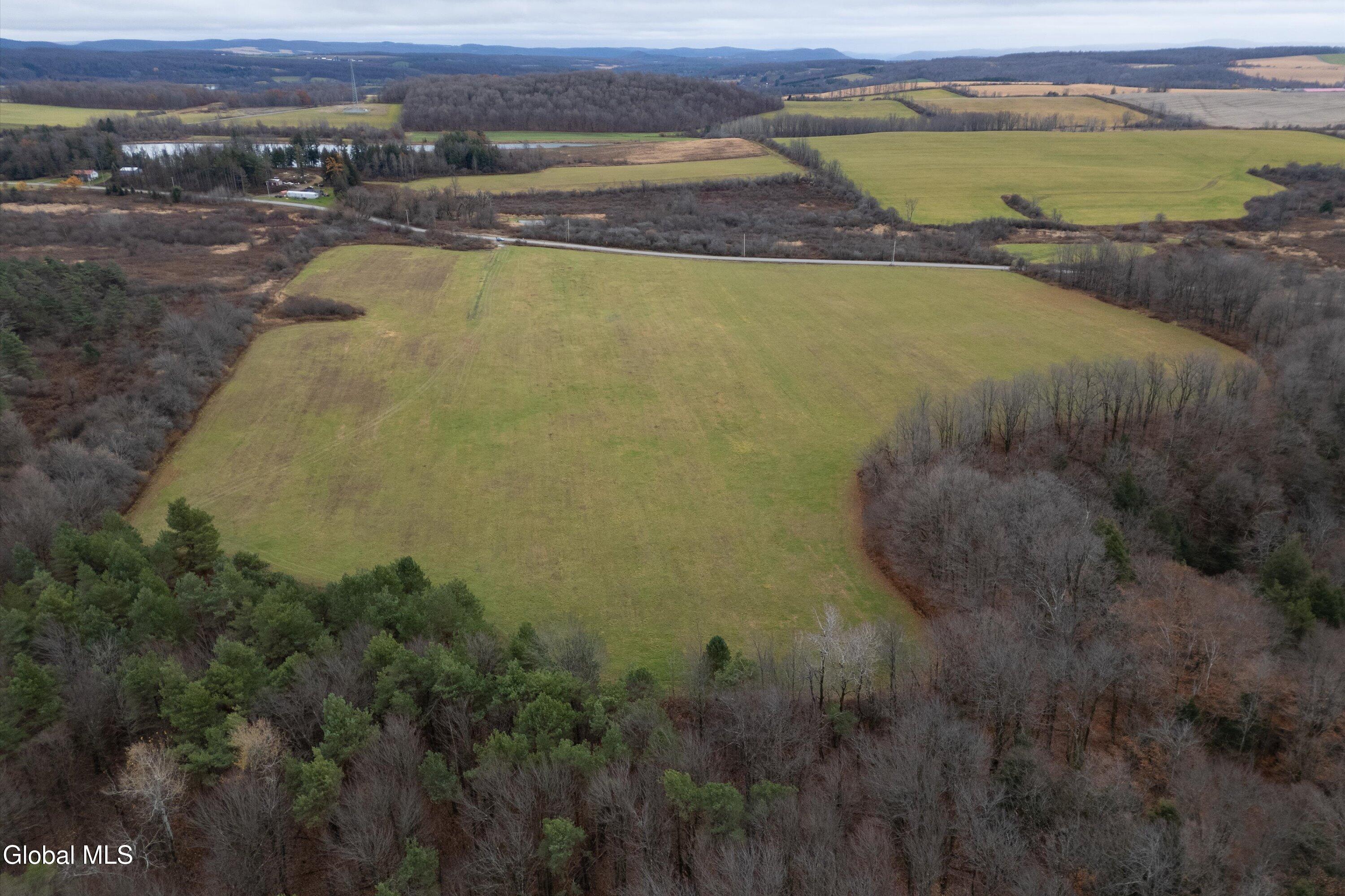 L27 Travis Road Fort Plain, NY 13339 - Photo 4 of 12 177.70 acre - Travis Rd lot