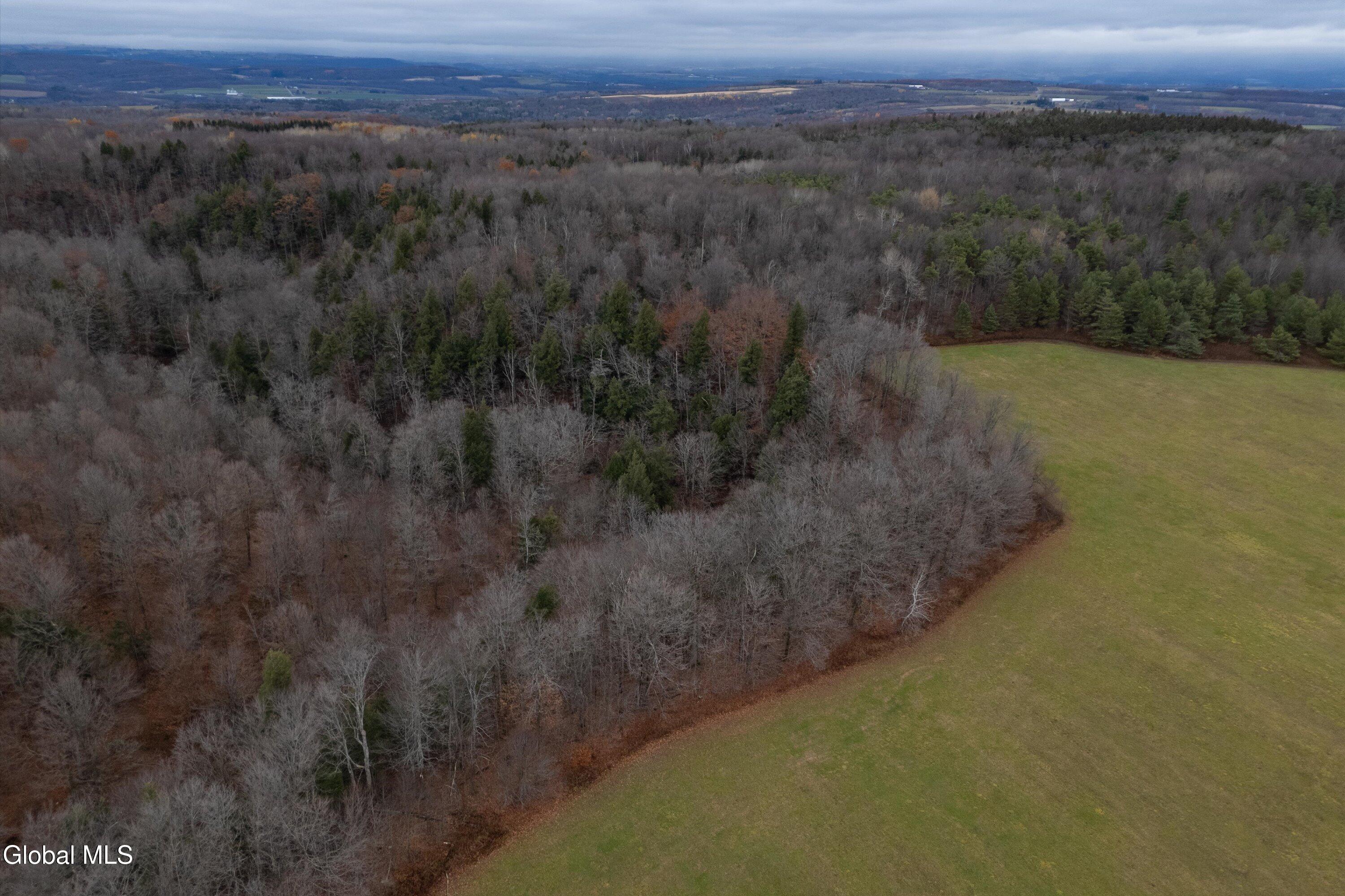 L27 Travis Road Fort Plain, NY 13339 - Photo 5 of 12 177.70 acre - Travis Rd lot