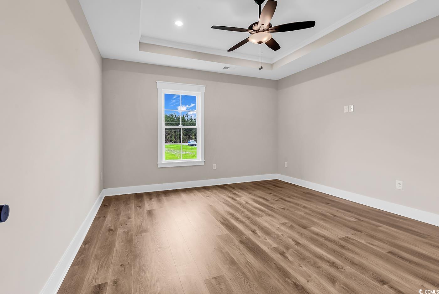 713 Horry Road Aynor, SC 29511 - Photo 17 of 40 Unfurnished room featuring a raised ceiling, light wood-style flooring, crown molding, and a ceiling fan