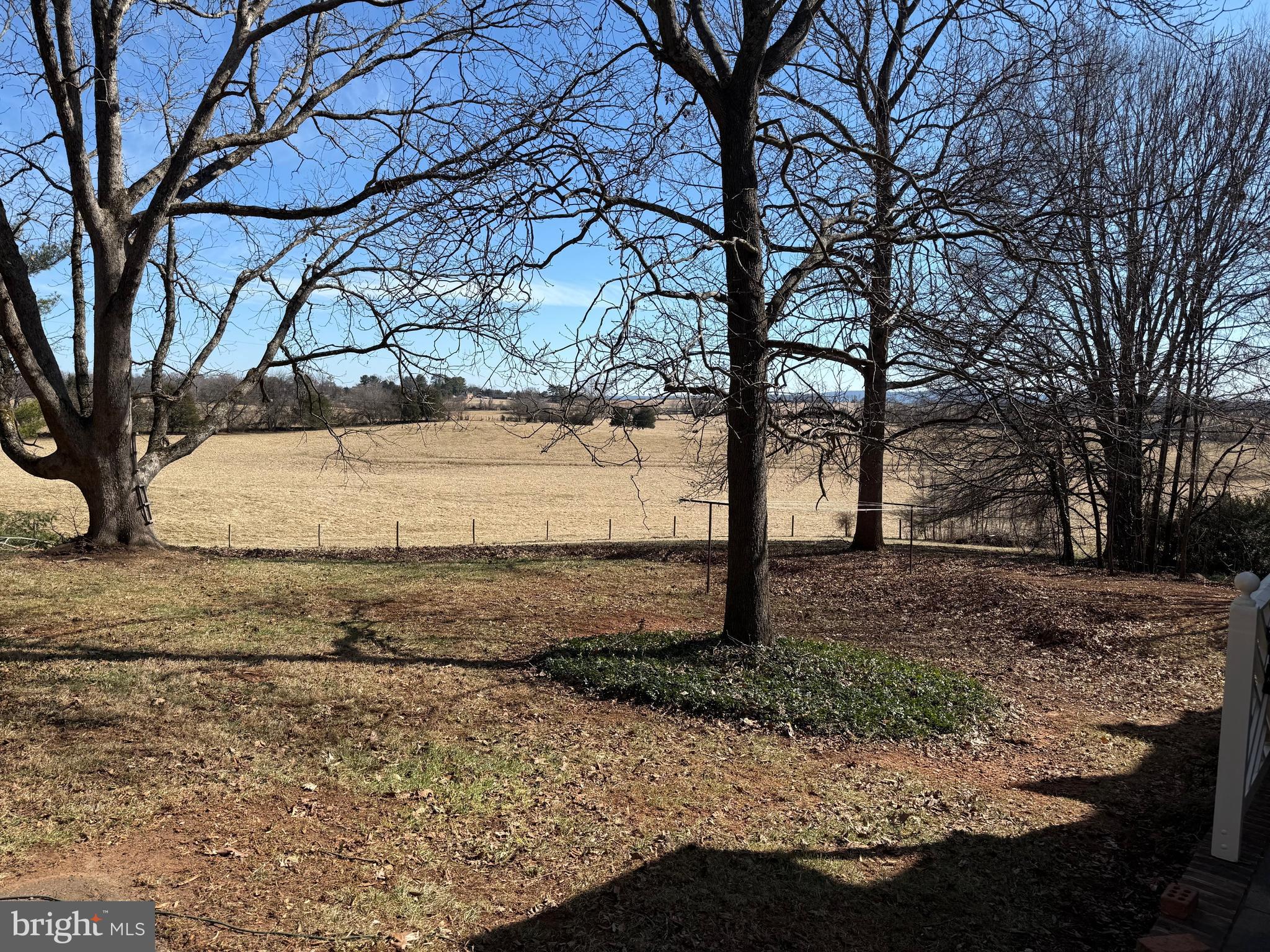 19389 Woods Road Culpeper, VA 22701 - Photo 3 of 7 a view of a yard with a tree