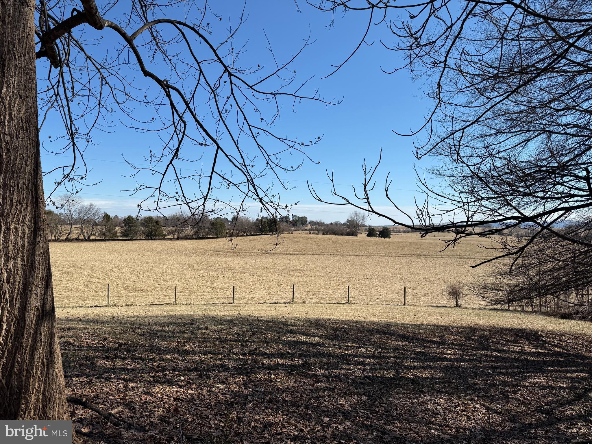 19389 Woods Road Culpeper, VA 22701 - Photo 4 of 7 a view of a water under an umbrella