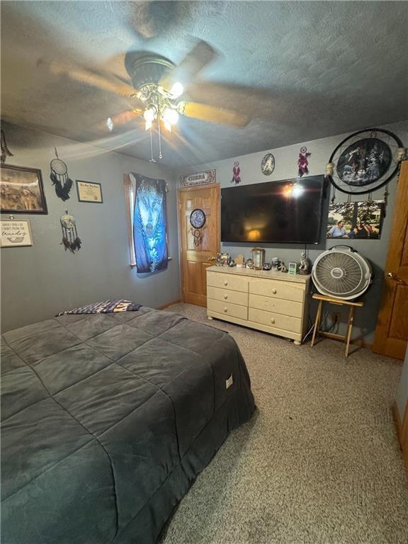 322 Gray Ridge Road Hale, MO 64643 - Photo 21 of 25