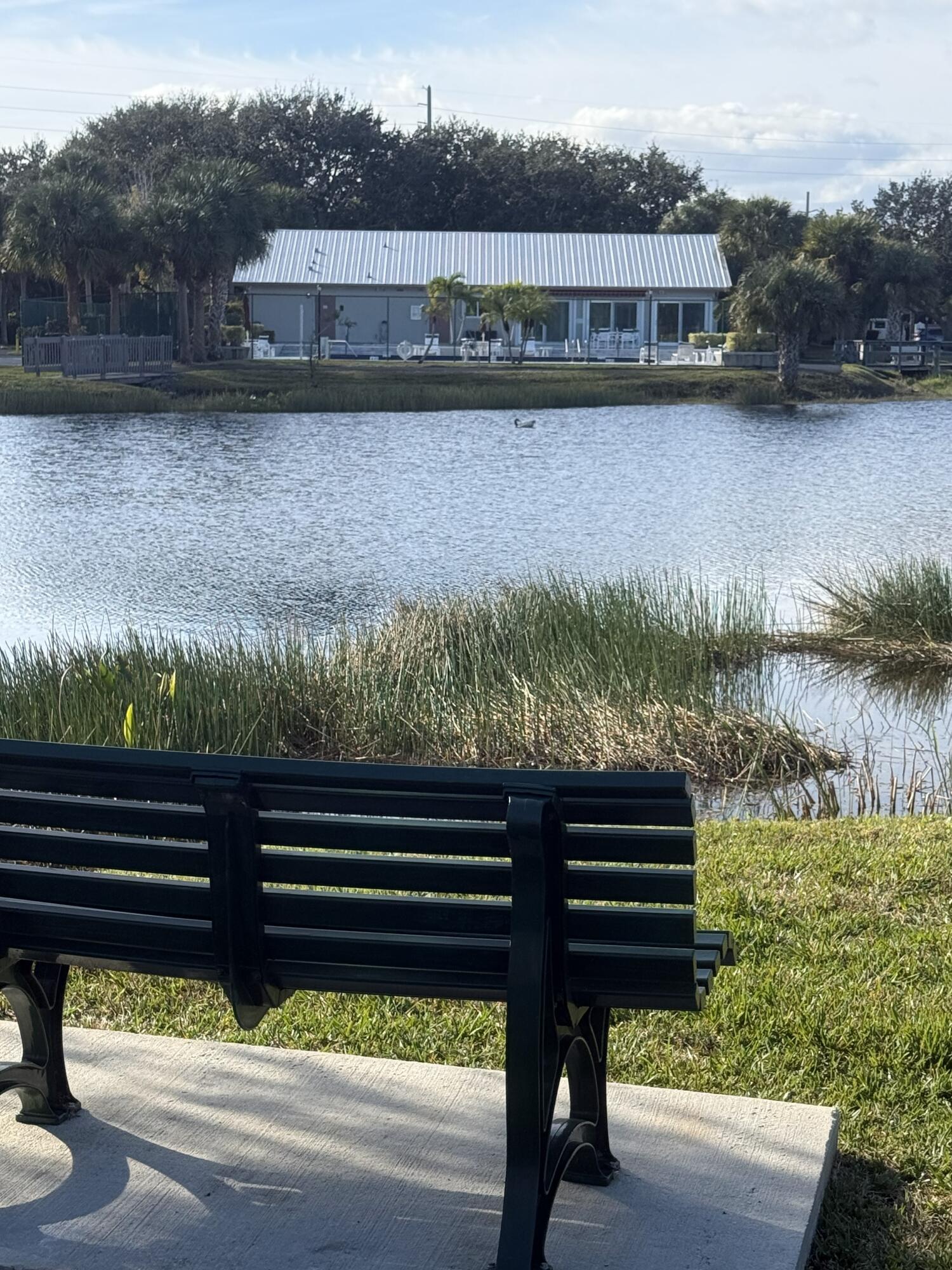 a view of a bench in the river
