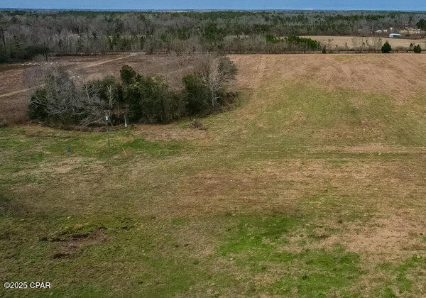 90 Cottondale Cottondale, FL 32431 - Photo 4 of 8