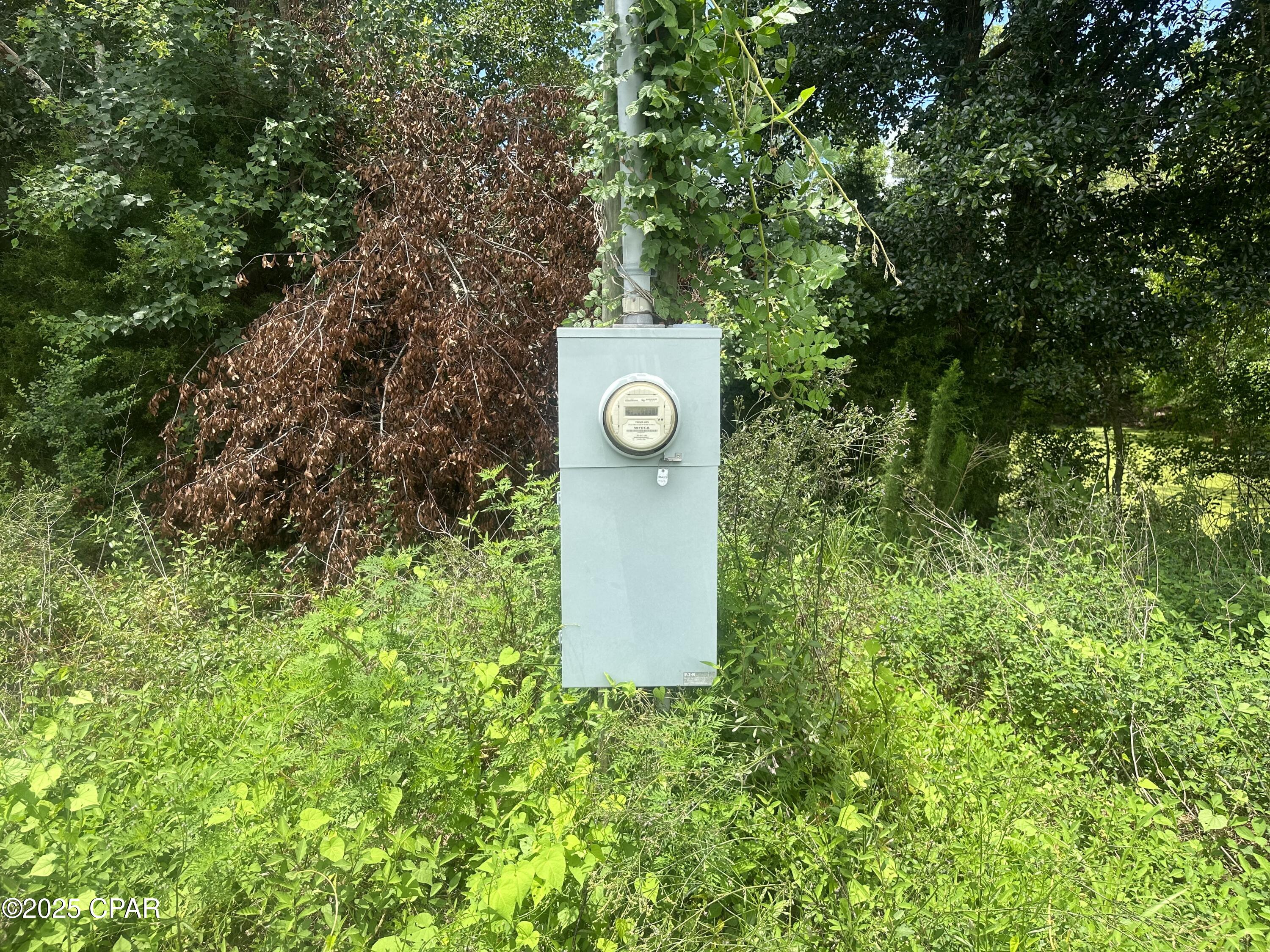 90 Cottondale Cottondale, FL 32431 - Photo 6 of 8