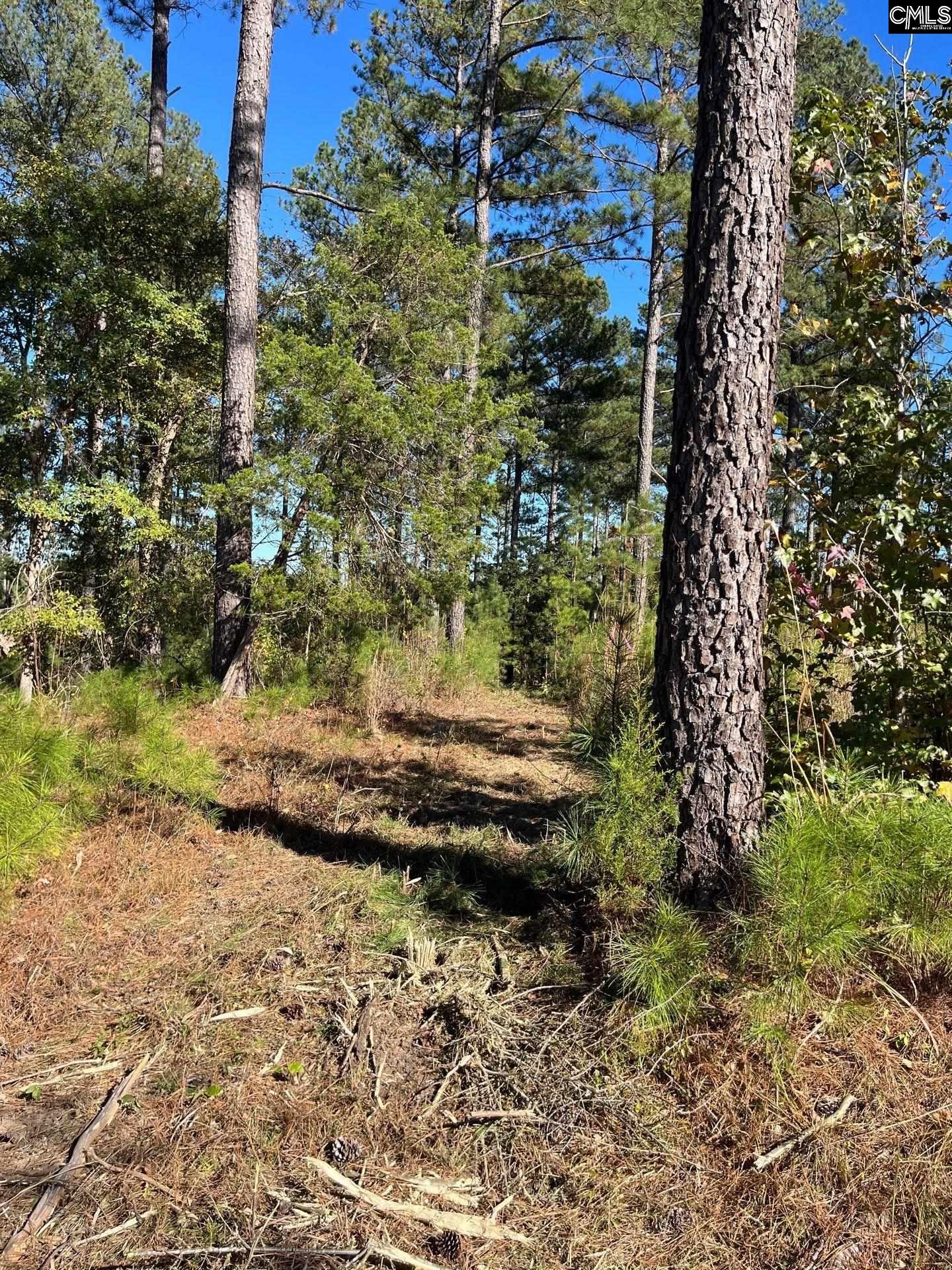 3 Dawkins Road, Unit DRF 3 Whitmire, SC 29178 - Photo 18 of 38