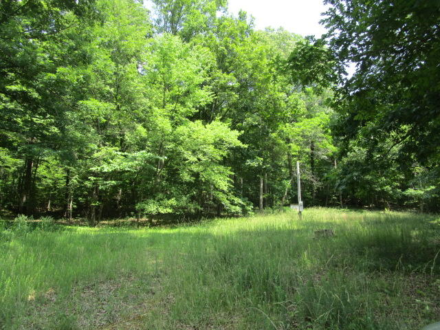 560 Cabbage Road Blaine, TN 37709 - Photo 2 of 5 IMG_2001