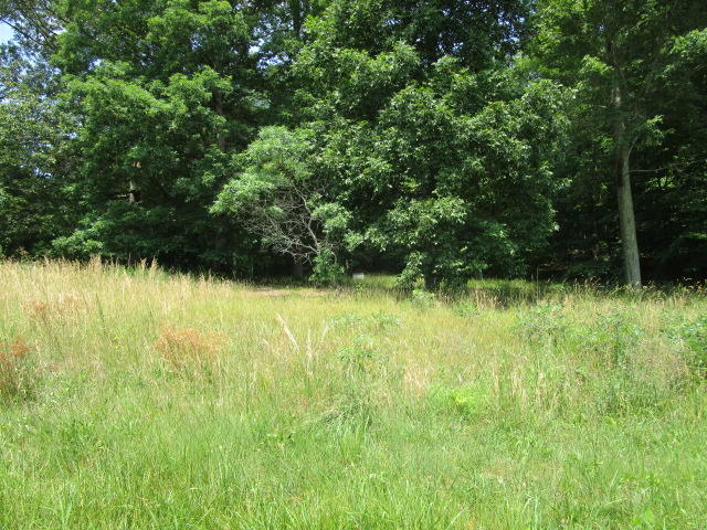 560 Cabbage Road Blaine, TN 37709 - Photo 4 of 5 IMG_2003