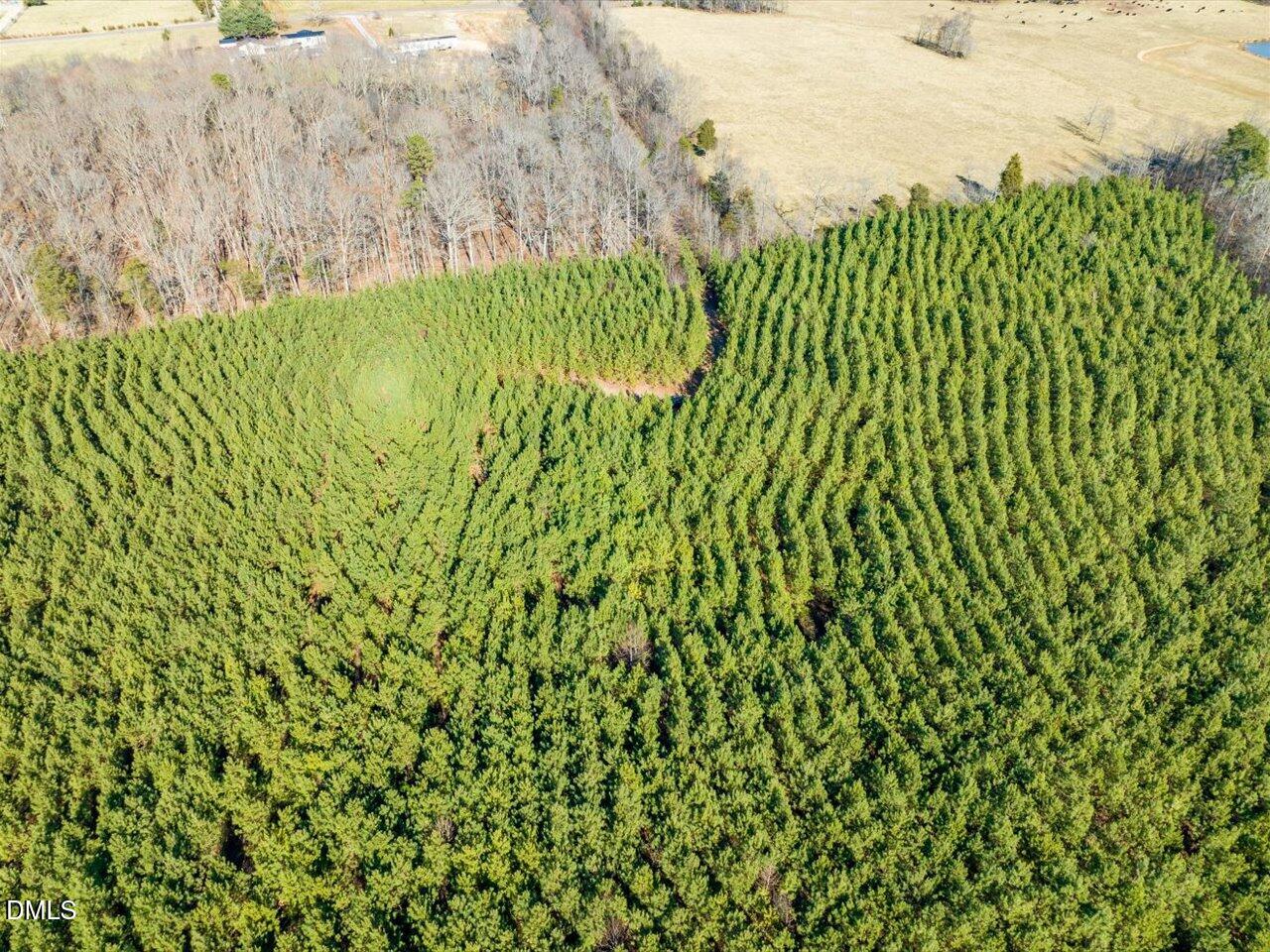 0 Will Brown Road Siler City, NC 27344 - Photo 11 of 30 20-020-WillBrownRd-Chatham-Parcel-997-63