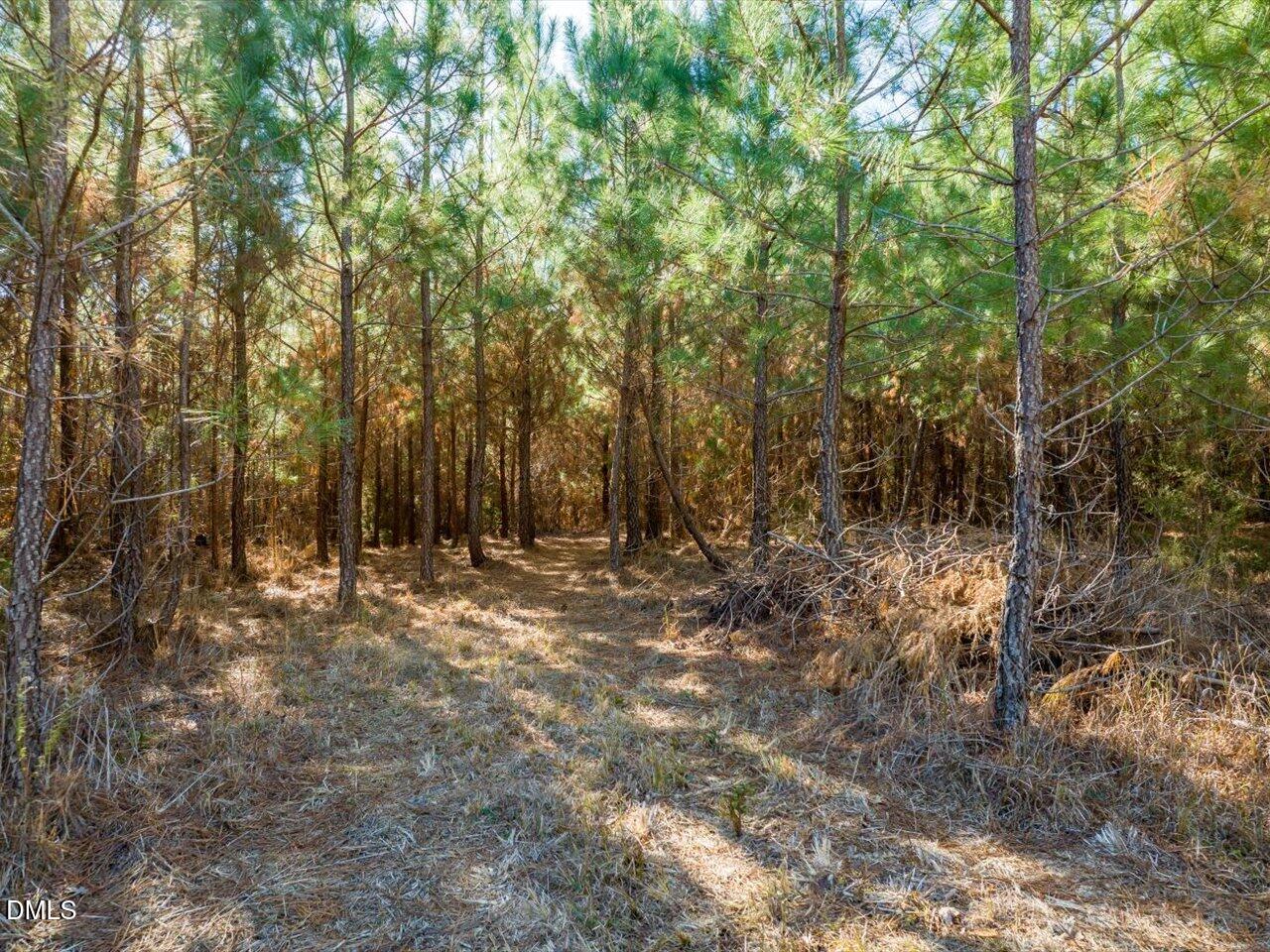 0 Will Brown Road Siler City, NC 27344 - Photo 14 of 30 11-011-WillBrownRd-Chatham-Parcel-997-63