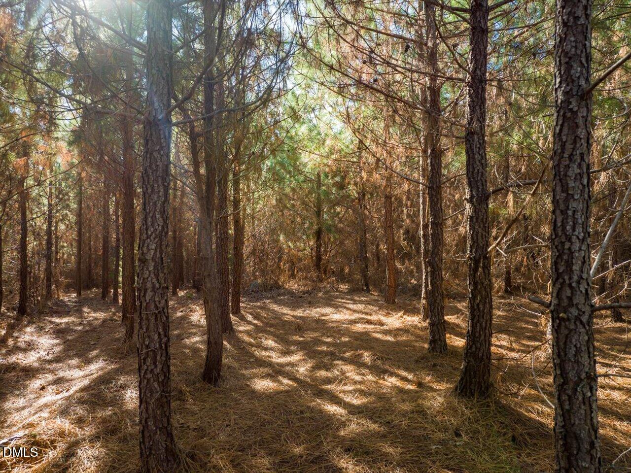 0 Will Brown Road Siler City, NC 27344 - Photo 15 of 30 12-012-WillBrownRd-Chatham-Parcel-997-63