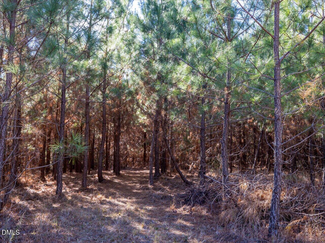 0 Will Brown Road Siler City, NC 27344 - Photo 16 of 30 13-013-WillBrownRd-Chatham-Parcel-997-63