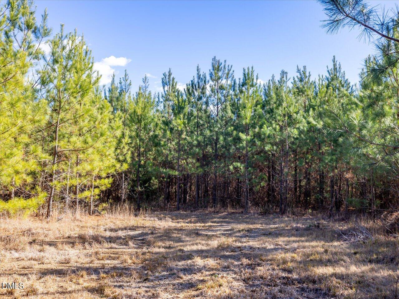 0 Will Brown Road Siler City, NC 27344 - Photo 17 of 30 14-014-WillBrownRd-Chatham-Parcel-997-63