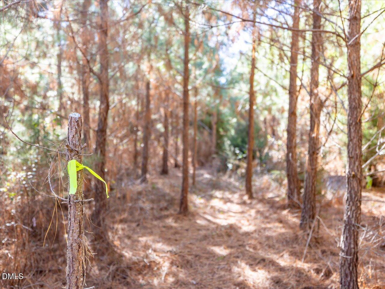 0 Will Brown Road Siler City, NC 27344 - Photo 18 of 30 15-015-WillBrownRd-Chatham-Parcel-997-63