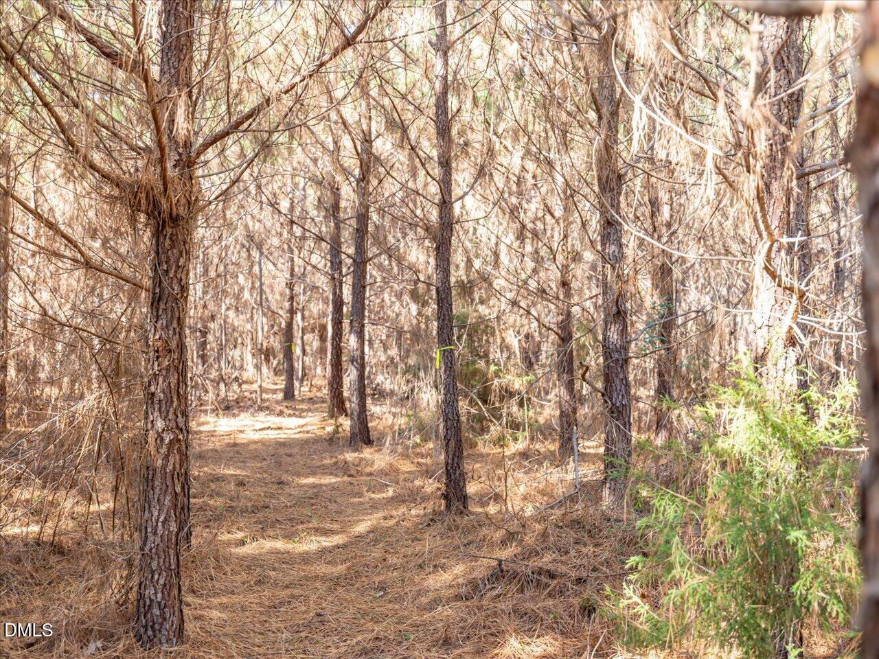 0 Will Brown Road Siler City, NC 27344 - Photo 19 of 30 16-016-WillBrownRd-Chatham-Parcel-997-63