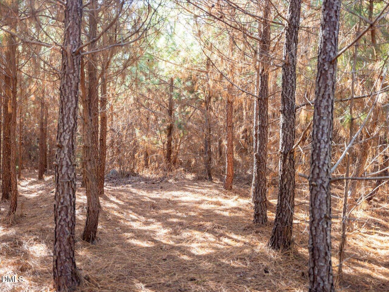 0 Will Brown Road Siler City, NC 27344 - Photo 20 of 30 17-017-WillBrownRd-Chatham-Parcel-997-63