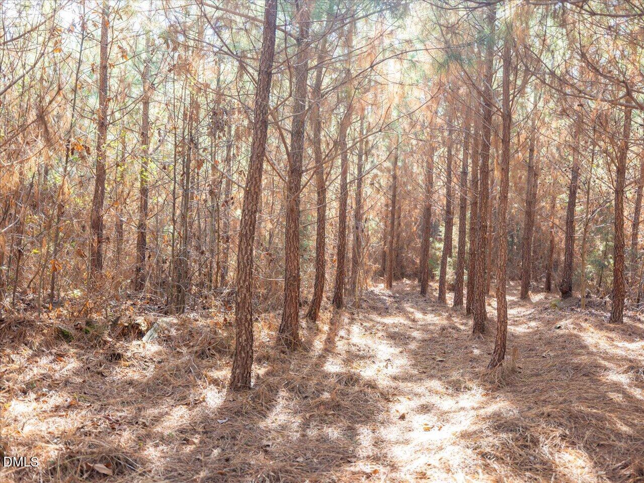 0 Will Brown Road Siler City, NC 27344 - Photo 21 of 30 18-018-WillBrownRd-Chatham-Parcel-997-63