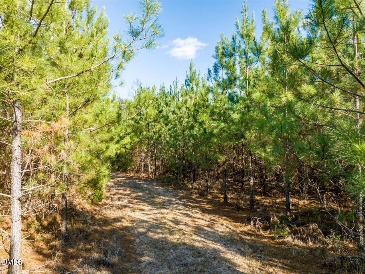 0 Will Brown Road Siler City, NC 27344 - Photo 22 of 30 22-022-WillBrownRd-Chatham-Parcel-997-63