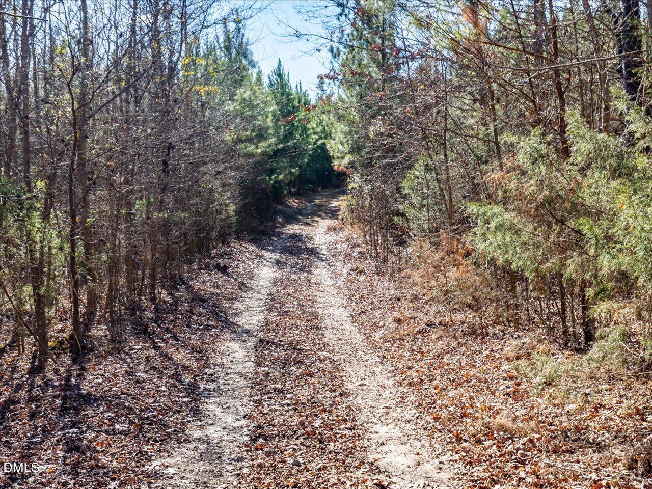 0 Will Brown Road Siler City, NC 27344 - Photo 23 of 30 23-023-WillBrownRd-Chatham-Parcel-997-63