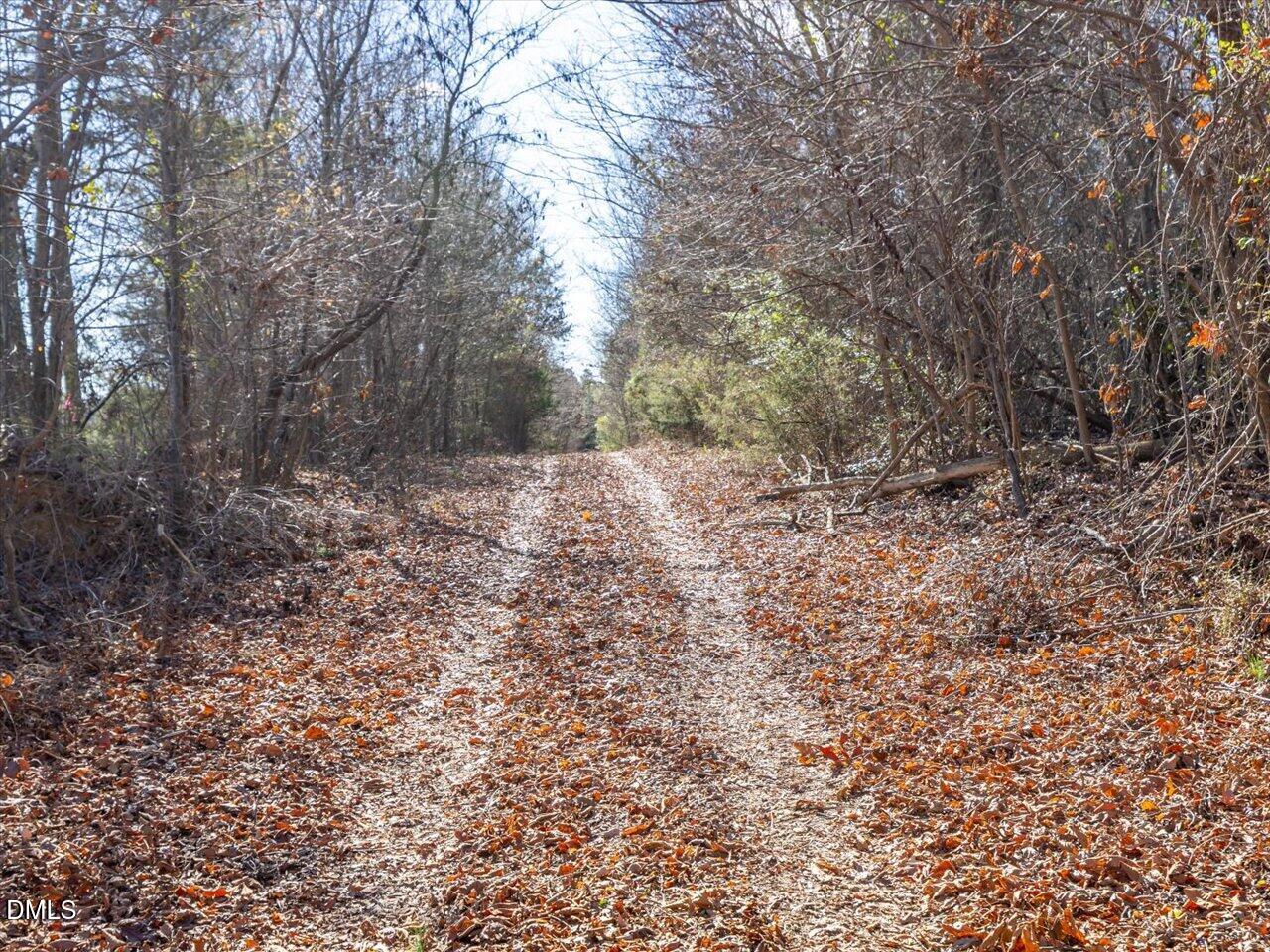 0 Will Brown Road Siler City, NC 27344 - Photo 24 of 30 24-024-WillBrownRd-Chatham-Parcel-997-63