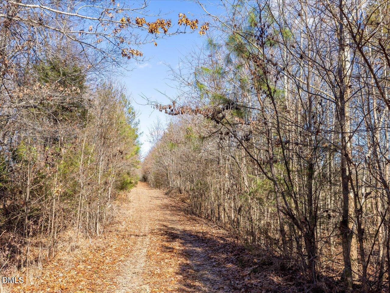 0 Will Brown Road Siler City, NC 27344 - Photo 25 of 30 25-025-WillBrownRd-Chatham-Parcel-997-63