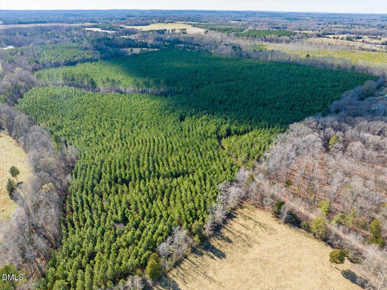 0 Will Brown Road Siler City, NC 27344 - Photo 3 of 30 03-003-WillBrownRd-Chatham-Parcel-997-63