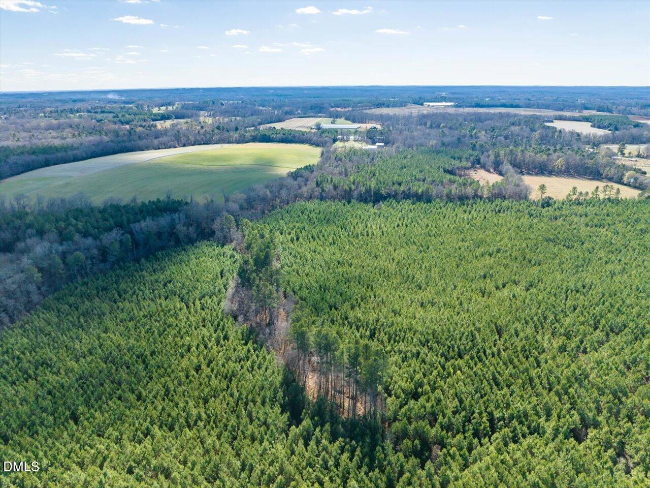 0 Will Brown Road Siler City, NC 27344 - Photo 6 of 30 06-006-WillBrownRd-Chatham-Parcel-997-63