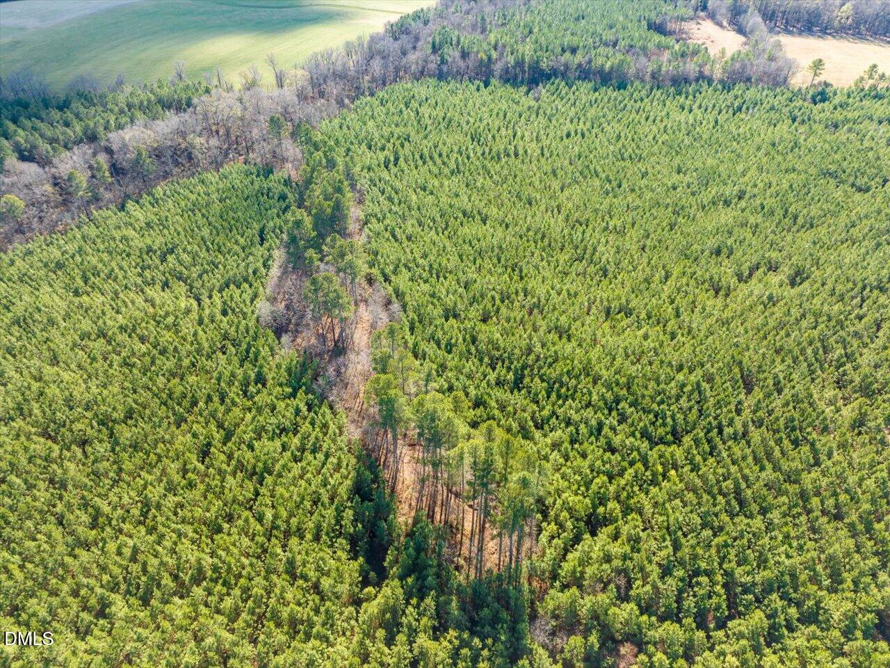 0 Will Brown Road Siler City, NC 27344 - Photo 7 of 30 07-007-WillBrownRd-Chatham-Parcel-997-63