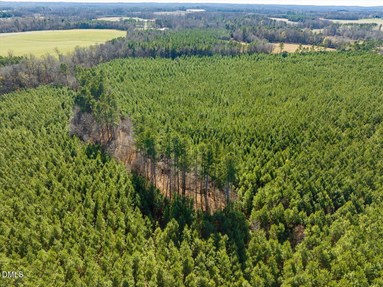 0 Will Brown Road Siler City, NC 27344 - Photo 8 of 30 08-008-WillBrownRd-Chatham-Parcel-997-63