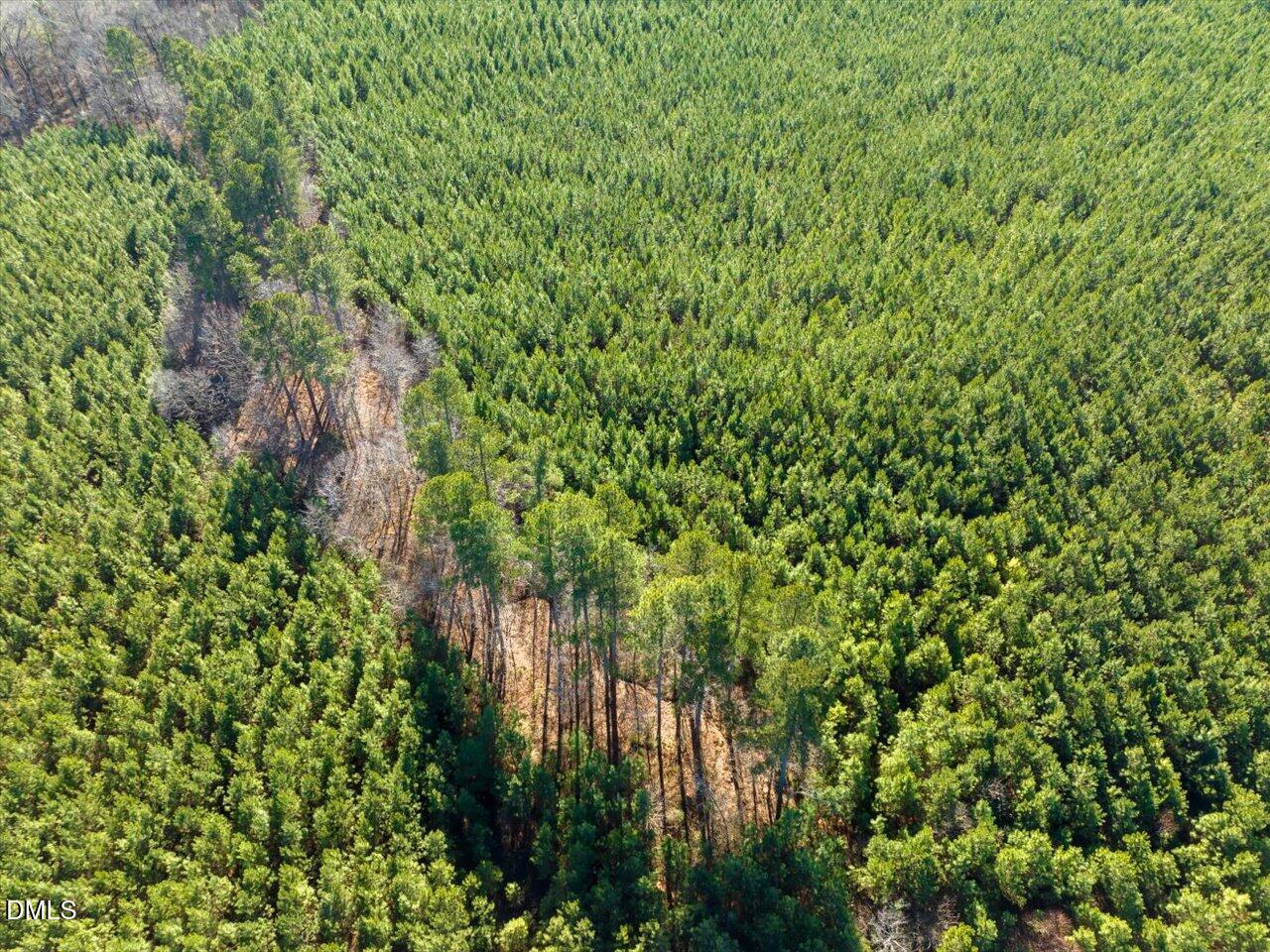 0 Will Brown Road Siler City, NC 27344 - Photo 9 of 30 09-009-WillBrownRd-Chatham-Parcel-997-63