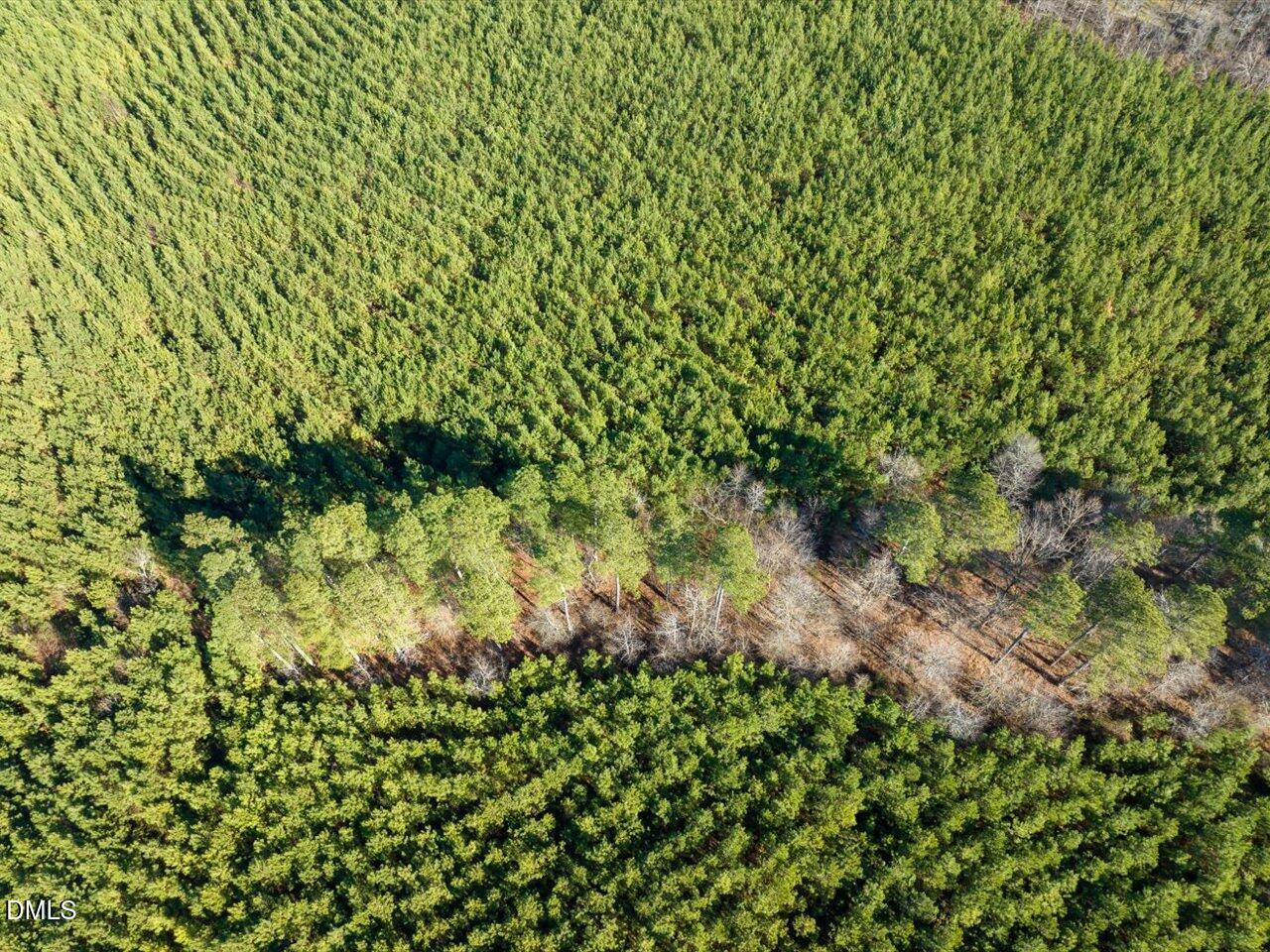 0 Will Brown Road Siler City, NC 27344 - Photo 10 of 30 10-010-WillBrownRd-Chatham-Parcel-997-63