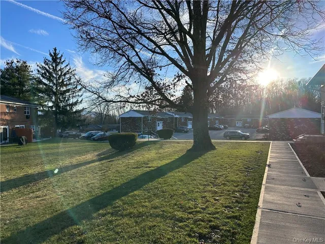 a view of yard with tree