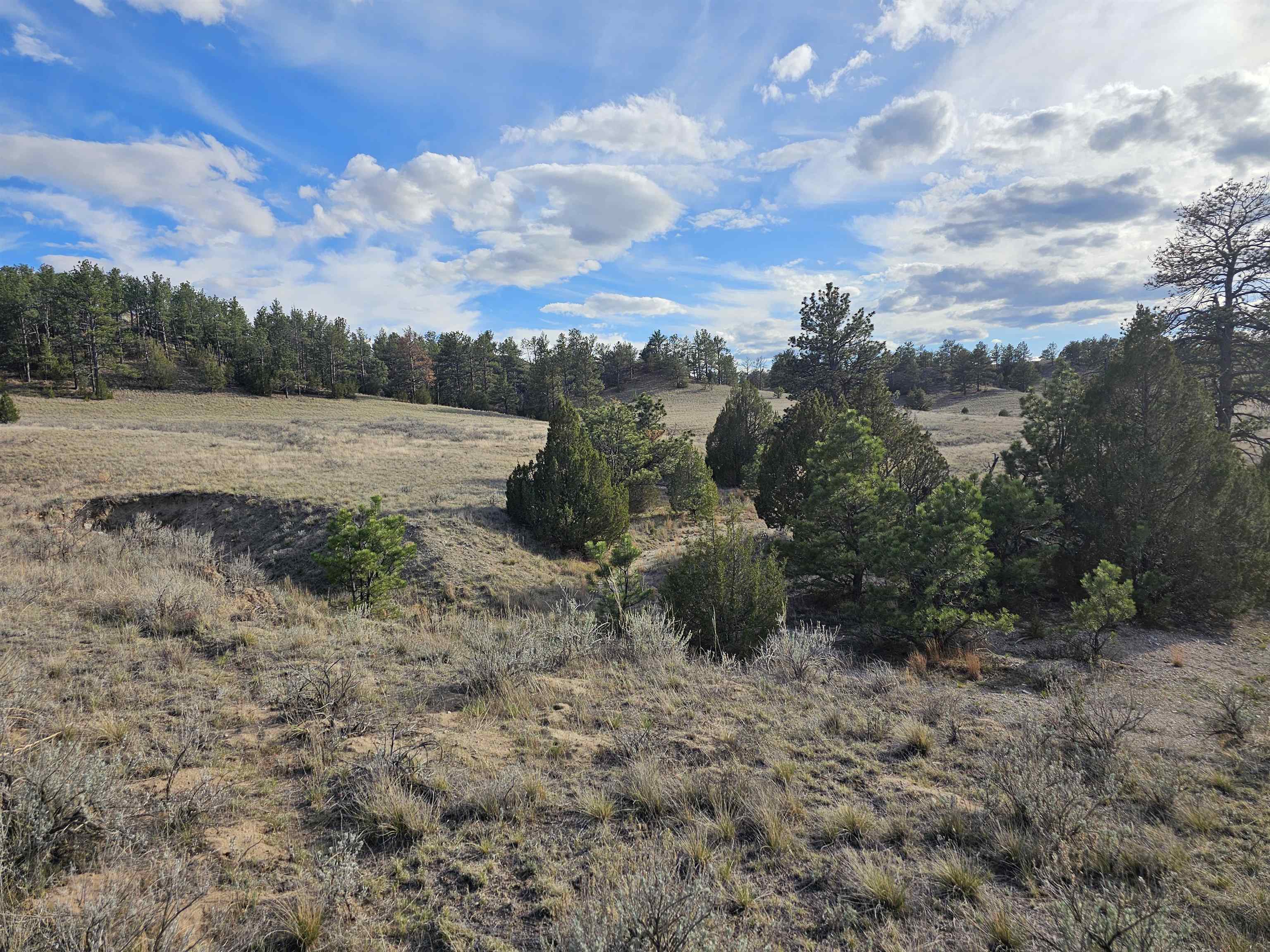 52 Wendover Road Guernsey, WY 82214 - Photo 18 of 42