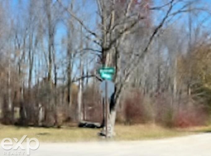 Springborn Road Casco, MI 48064 - Photo 8 of 14