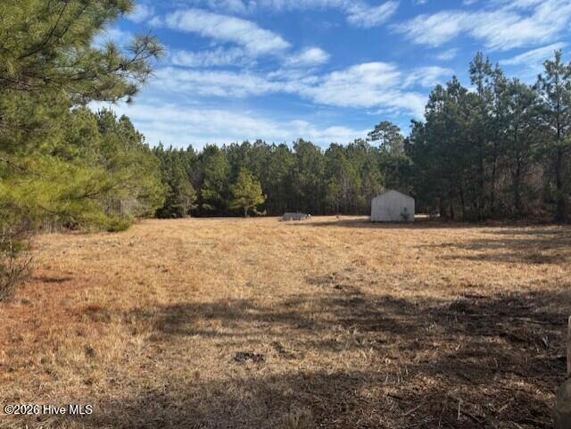 10-acres Scott Road Pollocksville, NC 28573 - Photo 3 of 22 3e4a646f-6650-4309-b2f7-efe4421ddaab