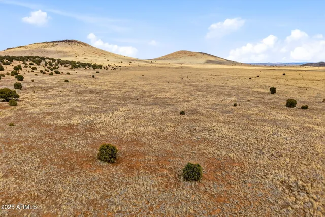 a view of a large building