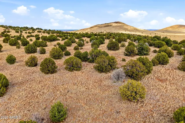 a view of a lake with a mountain