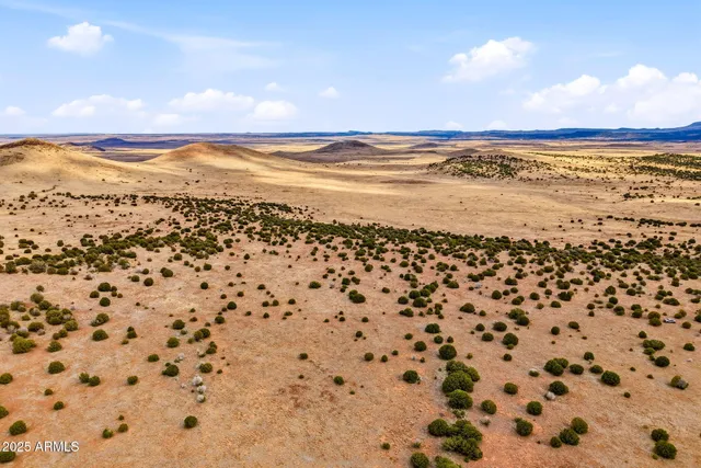 a view of beach and ocean