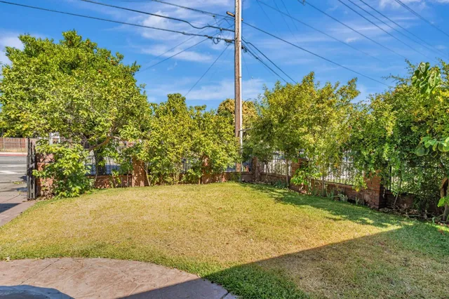 a view of a yard with potted plants