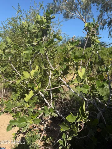 $499,990 | 800 West Marlboro Drive, Chandler, AZ 85225