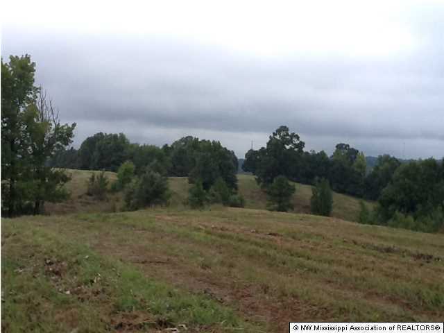 141 Winborn Tower Road Potts Camp, MS 38659 - Photo 1 of 5 Primary Photo