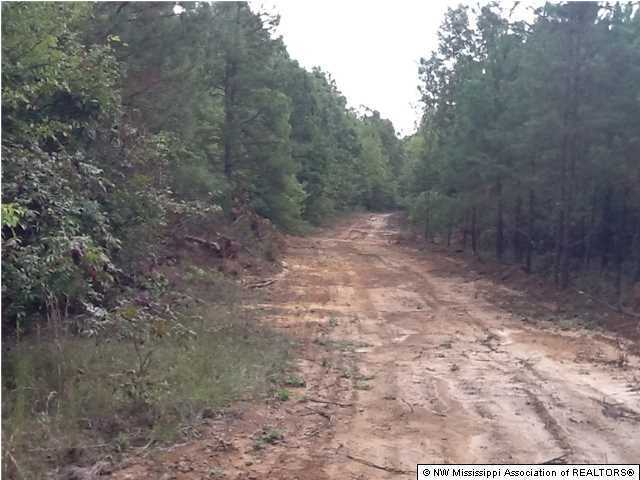 141 Winborn Tower Road Potts Camp, MS 38659 - Photo 2 of 5 Additional Photo