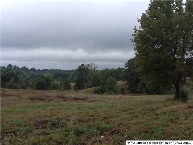141 Winborn Tower Road Potts Camp, MS 38659 - Photo 4 of 5 Additional Photo