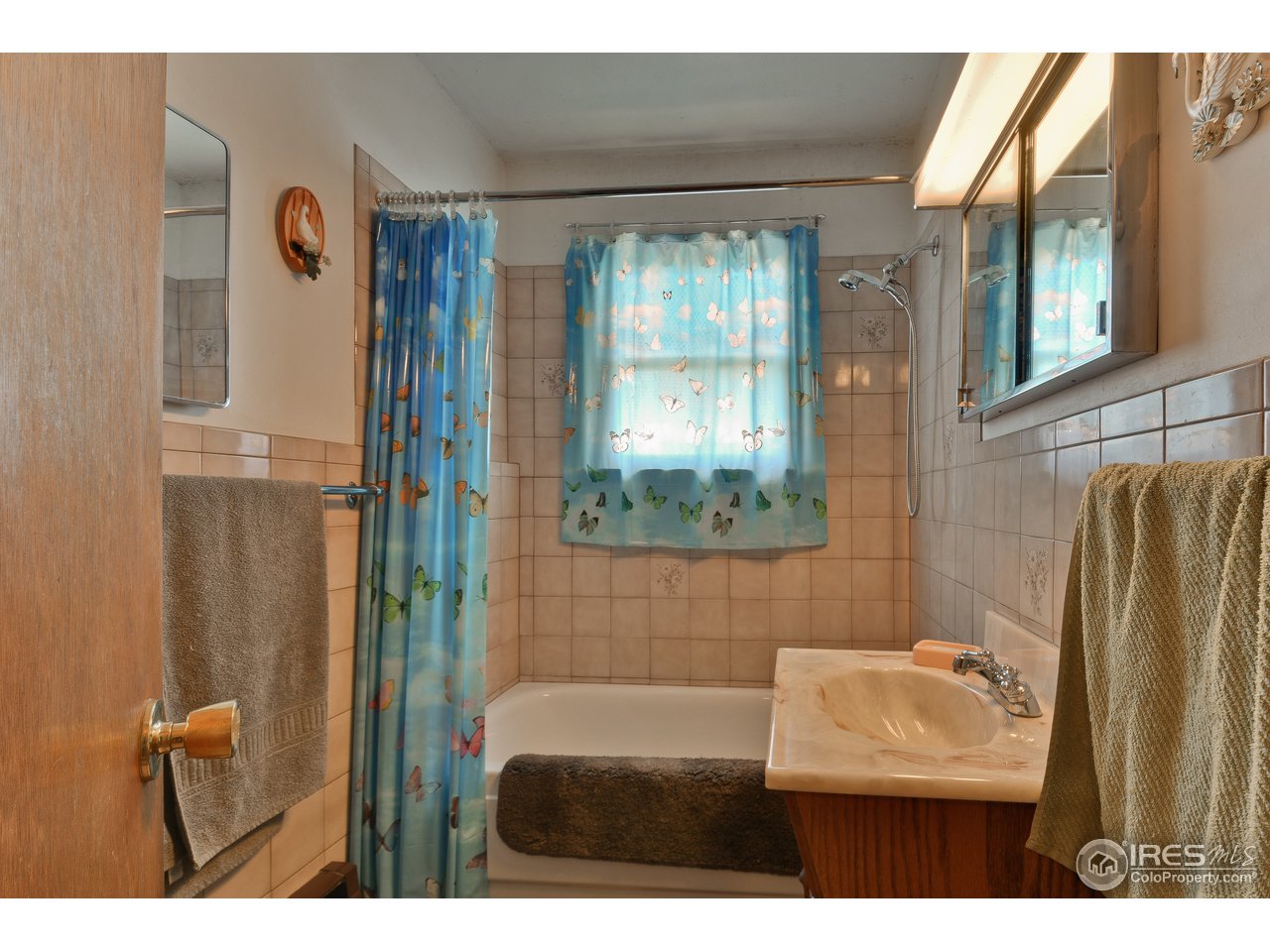 6412 Hygiene Road Longmont, CO 80503 - Photo 11 of 28 full shared bathroom